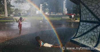 Five Artists to Follow on Instagram Now