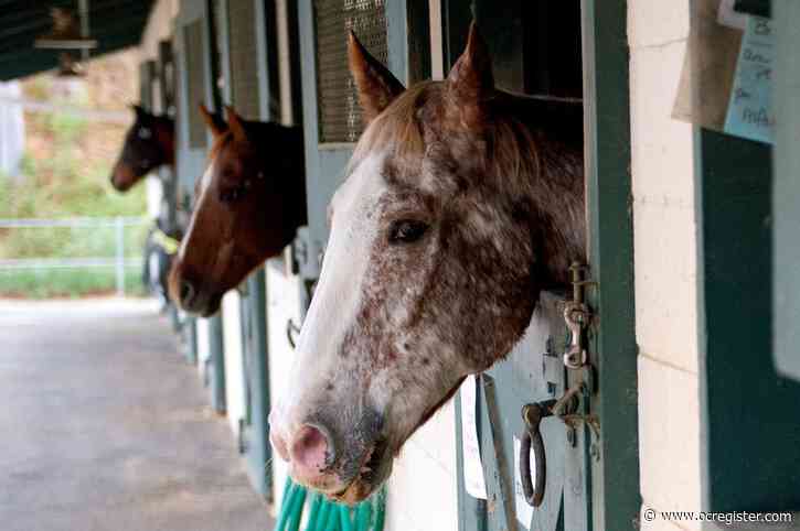 Equine life goes on at the Village Equestrian Center despite closures