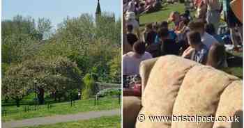 What a difference a year makes - Bristol parks a year ago