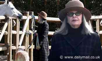Diane Keaton feeds horses on  neighborhood stroll after revealing she's social isolating all alone