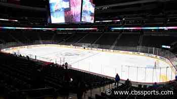 NHL considering plan that would restart league in July, report says