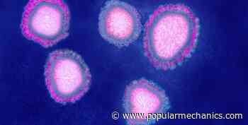 Coronavirus FAQ and What You Really Need to Know