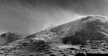 Get Lost in Nature With These Psychadelic Images