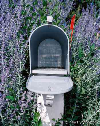 Common Questions About Stimulus Payment Problems, Answered