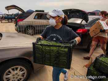'Will we have enough food?:' Millions of Americans are now unemployed and hungry. Food banks worry they can't feed them.