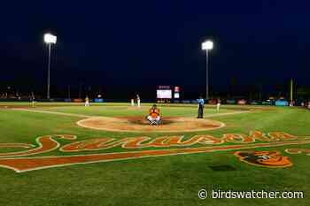Baltimore Orioles Minor League Contraction Update - Birds Watcher