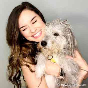 This woman's trick to cutting dog nails? Peanut butter and plastic wrap on her forehead.