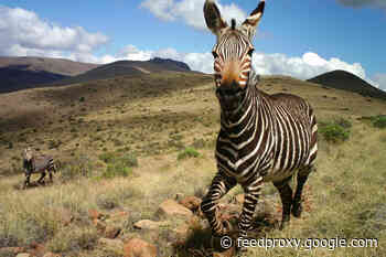Earth Day Activities: These Science Projects Get You Outside Virtually