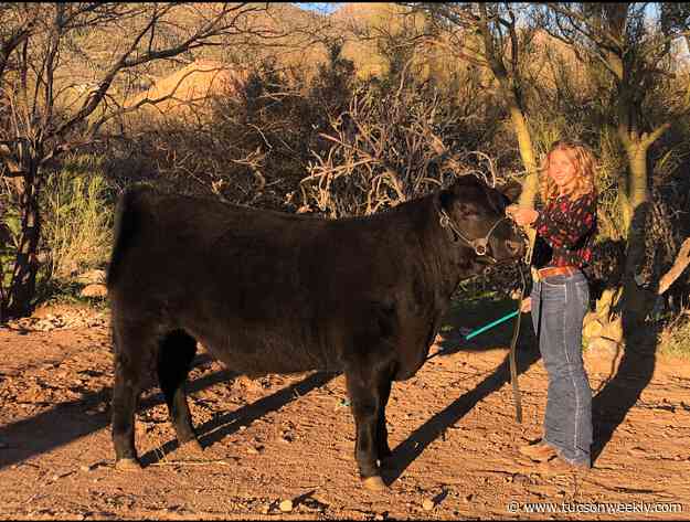 New Kids on the Auction Block