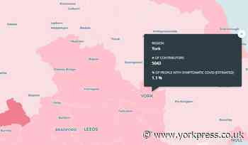 Number of people with coronavirus symptoms in York revealed, new app suggests