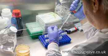 Social distancing could continue until 2021 as coronavirus crisis continues