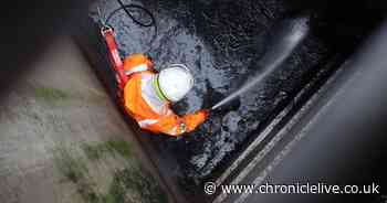 What experts are doing to help identify coronavirus hotspots