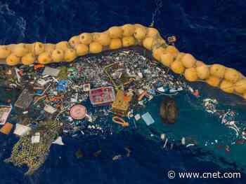 Plastic is ruining the oceans, but there are ways you can help     - CNET