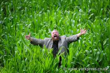 CORONAVIRUS: York Maze will not be opening this summer