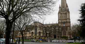 PETA offer dovecote to church planning to give pigeons electric shock