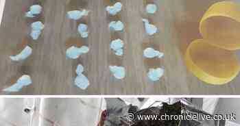 Suspected drug dealers arrested after neighbours spot visitors during lockdown