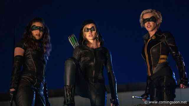Green Arrow and the Canaries Producer Doesn’t Know If the Series Will Happen