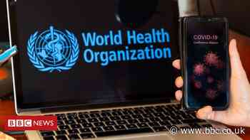 Coronavirus: Health leaders' credentials dumped online