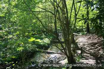 Re-discovering one of Warrington's few semi-ancient woodlands - Gary Skentelbery
