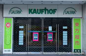 Experten aus Wirtschaft und Politik - Wie lässt sich diese Krise langfristig bewältigen? - Stuttgarter Zeitung