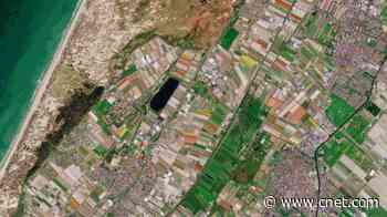 See the Dutch tulip fields bloom in radiant views from space     - CNET