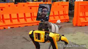 Boston Dynamics Spot robot dog helps doctors assess coronavirus patients     - CNET