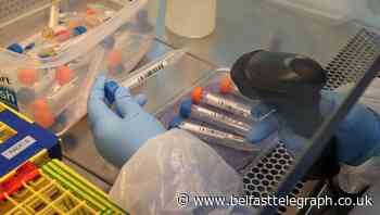 Public urged to take part in ‘vital’ Covid-19 population study