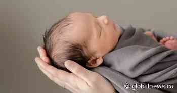 Saskatoon photographer offers video-assisted sessions for newborns amid coronavirus pandemic