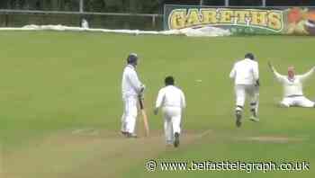 Howzat! Piers Morgan bowled over by Tyrone cricketer’s catch