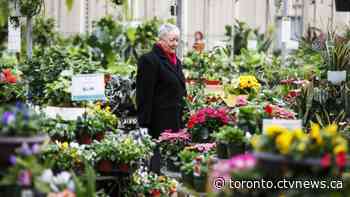 Ford says some good news could be coming for closed garden centres