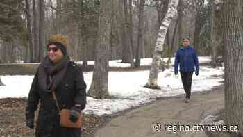 Virtual household: Here's how to safely spend time with friends, family in Sask.