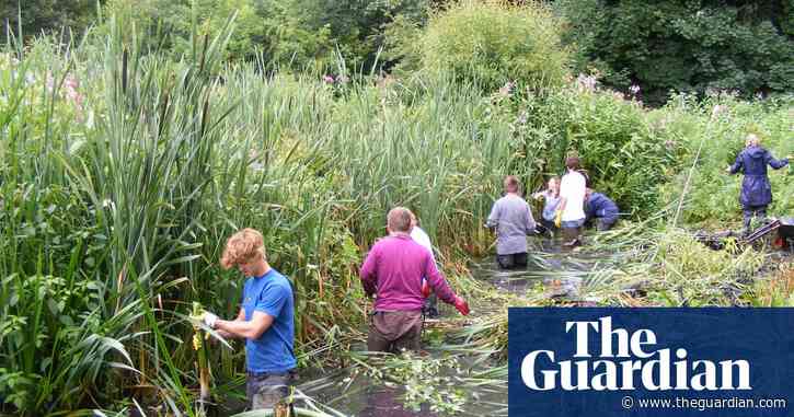 Biodiversity in Britain at risk from standstill due to coronavirus