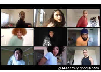 Zoom-As-Artistic-Medium, The Music Video