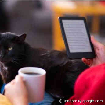 Surge In Library E-Book Borrowing