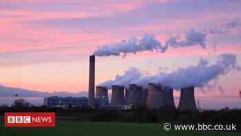 Virtual protest held over Drax power station biomass