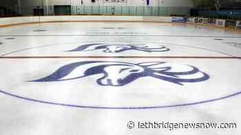 U of L discontinuing Pronghorns hockey programs due to budget constraints - Lethbridge News Now