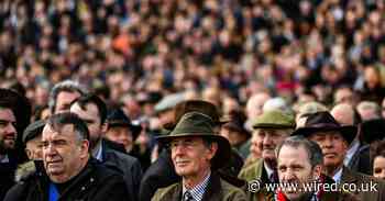 Was Cheltenham a coronavirus super-spreader event?