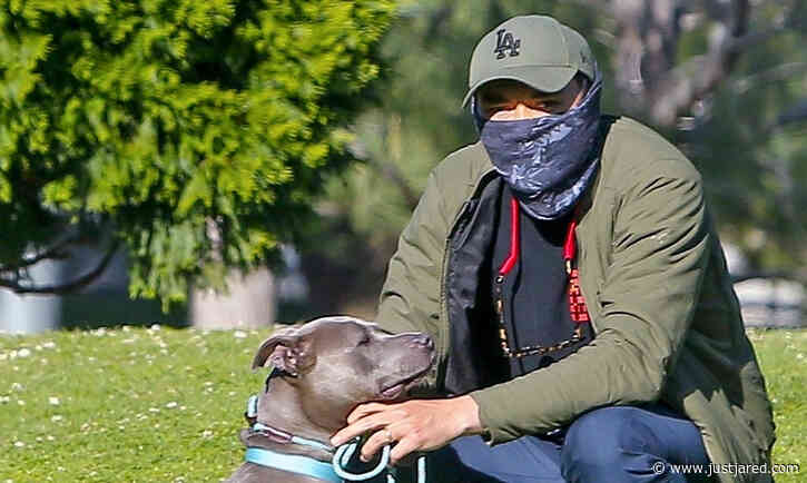 Henry Golding Takes His Foster Dog for a Walk After Incident at Dog Park