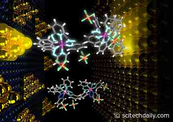 Brain-Inspired Organic Memory Devices for Flexible, Wearable, Personalized Computing