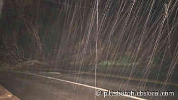 Woodruff Street Closed At Merrimac Street Due To Downed Tree