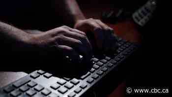 Online sexual predators eager to take advantage of greater access to kids during COVID-19, police warn