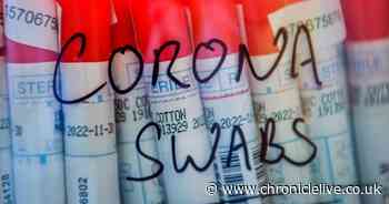 Coronavirus testing website closes within hours due to high demand