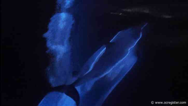 Amazing video shows glowing neon dolphins gliding in bioluminescent water off Newport Beach