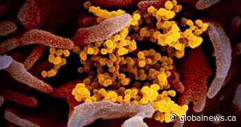 Boundary city of Lloydminster facing unique challenges while navigating COVID-19 pandemic