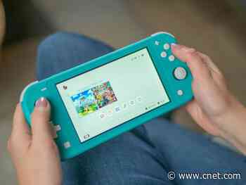 Nintendo Switch Lite is in stock at Best Buy and Target: Get it while you can     - CNET