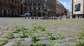 Cresce l'erba nelle principali piazze di Roma ( Fotoservizio di Francesco Toiati ) - Il Messaggero