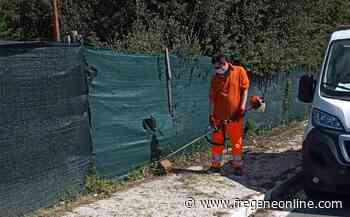 Verso la “fase 2”, sfalcio dell'erba a Fregene - Fregeneonline.com