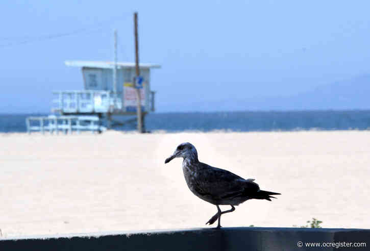 Santa Monica mayor: Don’t come to the beach and pier — they remain closed, and police are out in force