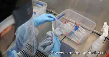 When government's coronavirus test website re-opens for bookings