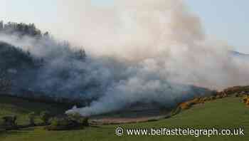 Firefighters tackle ‘significant’ gorse blaze in Newry